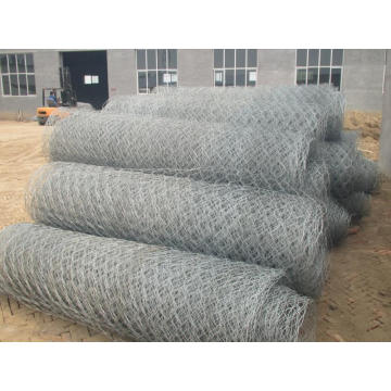 Galvanizado Hexagonal Gabion Mesh (6 * 8)